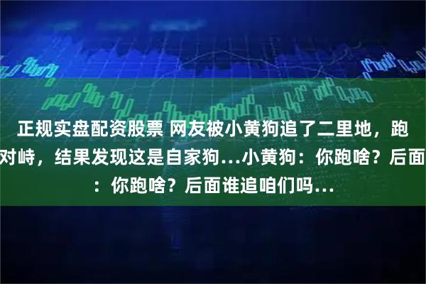 正规实盘配资股票 网友被小黄狗追了二里地，跑不动后停下来对峙，结果发现这是自家狗…小黄狗：你跑啥？后面谁追咱们吗…