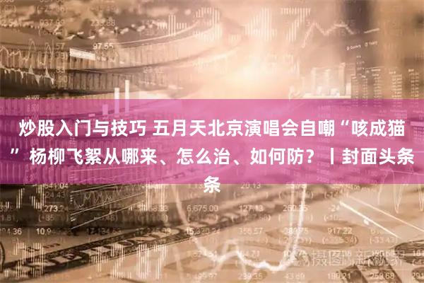 炒股入门与技巧 五月天北京演唱会自嘲“咳成猫” 杨柳飞絮从哪来、怎么治、如何防？丨封面头条